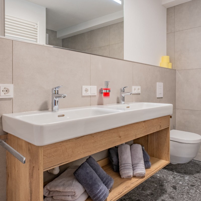 Dubbele wastafel met WC op de achtergrond in het moderne en functionele vakantiehuis Hoferlitzlhubgut in Mittersill.