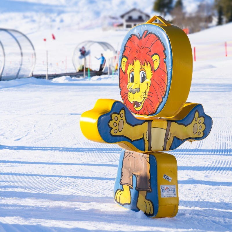 Private ski lessons for children