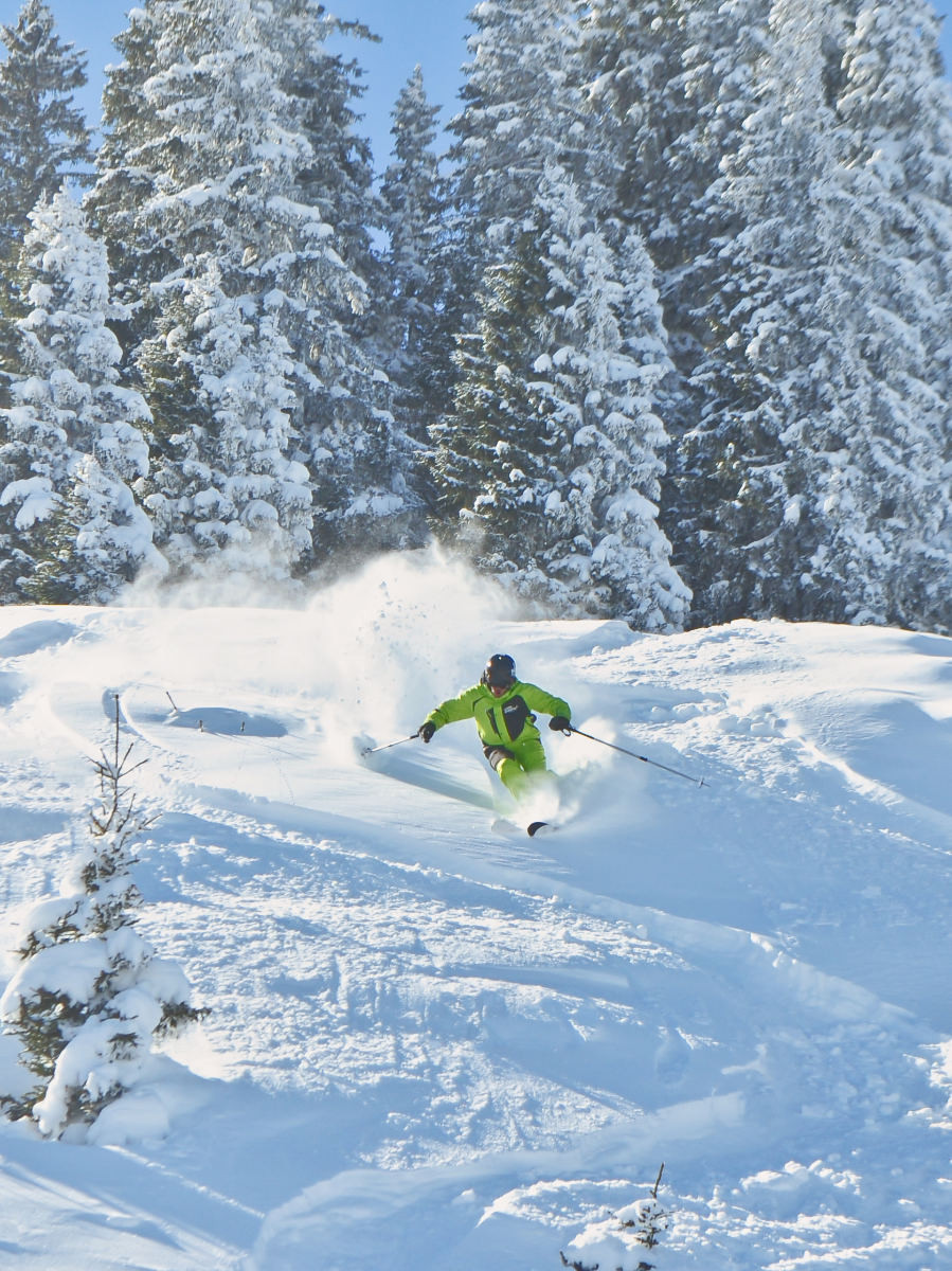 Freeriders in diepe sneeuw, omringd door besneeuwde sparren op de achtergrond, genieten van een afdaling in ongerepte poedersneeuw.