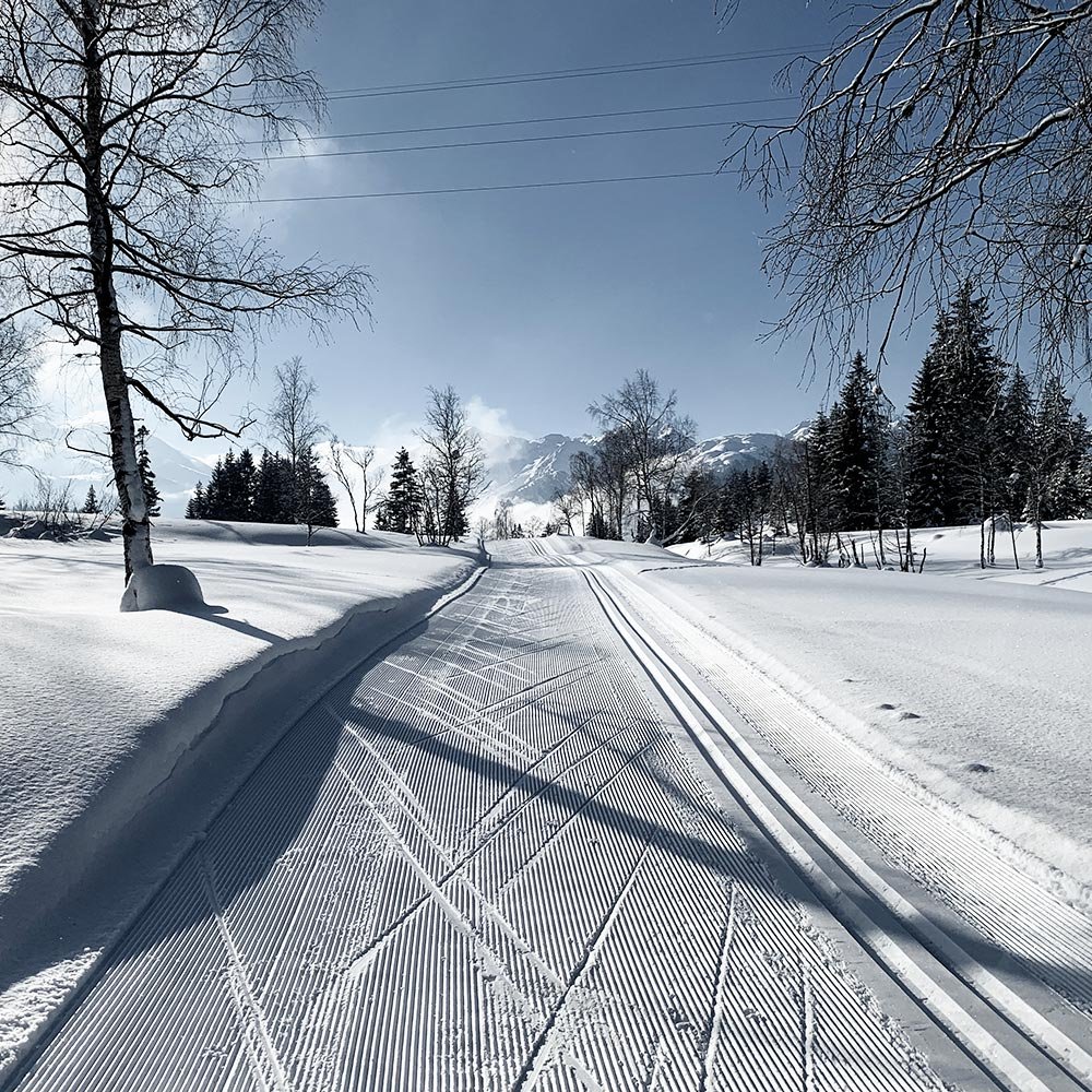 Cross-country ski trail Passthurn - Hochmoor